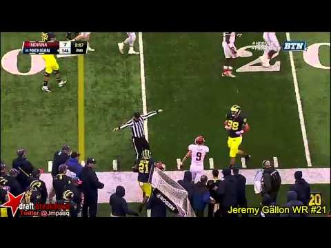 Jeremy Gallon vs Indiana 2013