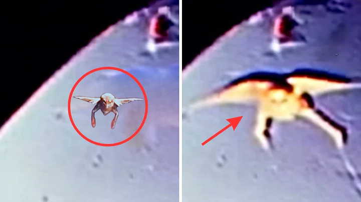 James Webb Telescope FINALLY Found What NASA Was Hiding on Pluto