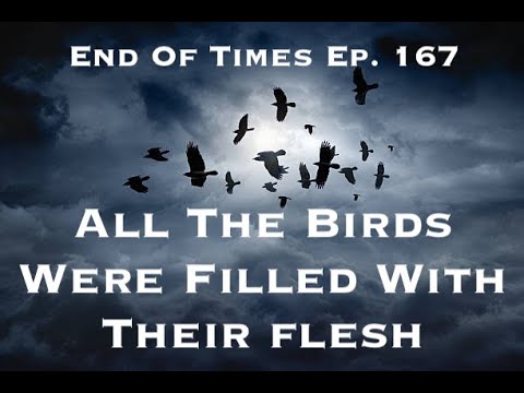 All The Birds Were Filled With Their Flesh : End Of Times Ep. 167