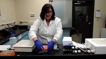 Total Microcystin Testing