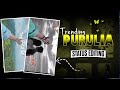New Trending Purulia Song Video Editing Alight Motion | Purulia New Sad Alight Motion Video E