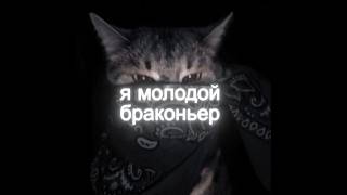браконьер #444 #fffriday #name1o #lxner #dontlose #x1nteo #3umph #coldn1ght #kristiee #fypシ゚viral