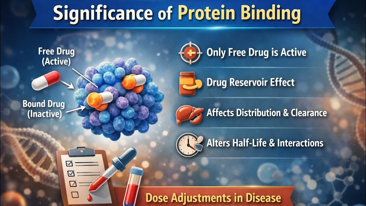 Significance of protein binding