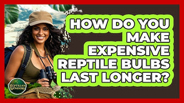 How Do You Make Expensive Reptile Bulbs Last Longer? - Reptilian Wonders