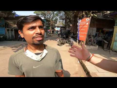 Video: Mumbai Dharavi gecəqondu turları: Seçimlər & Niyə bir yerə getməlisən