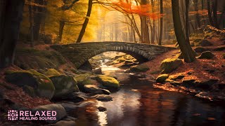 Guided Meditation ~ Serene Autumn Forest at Sunset ~ 528Hz Soothing Nature Sounds for Peace & Calm