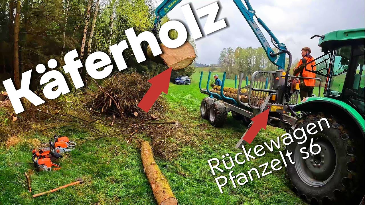 Käferholz mit Rückewagen 🌲🚜