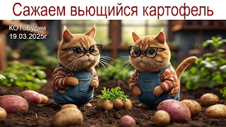 :   ,   , ,  ,      19.03.2025.