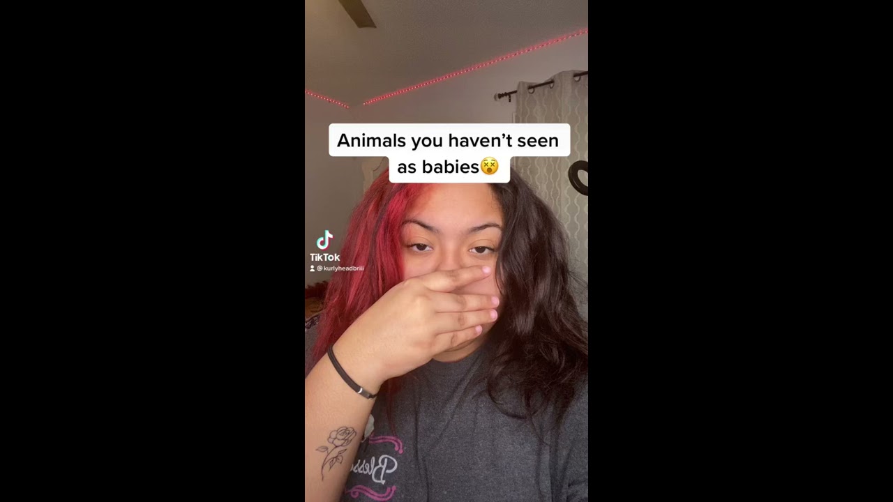 Animals You Haven T Seen As Babies 