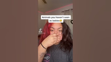 Animals you haven’t seen as babies😵