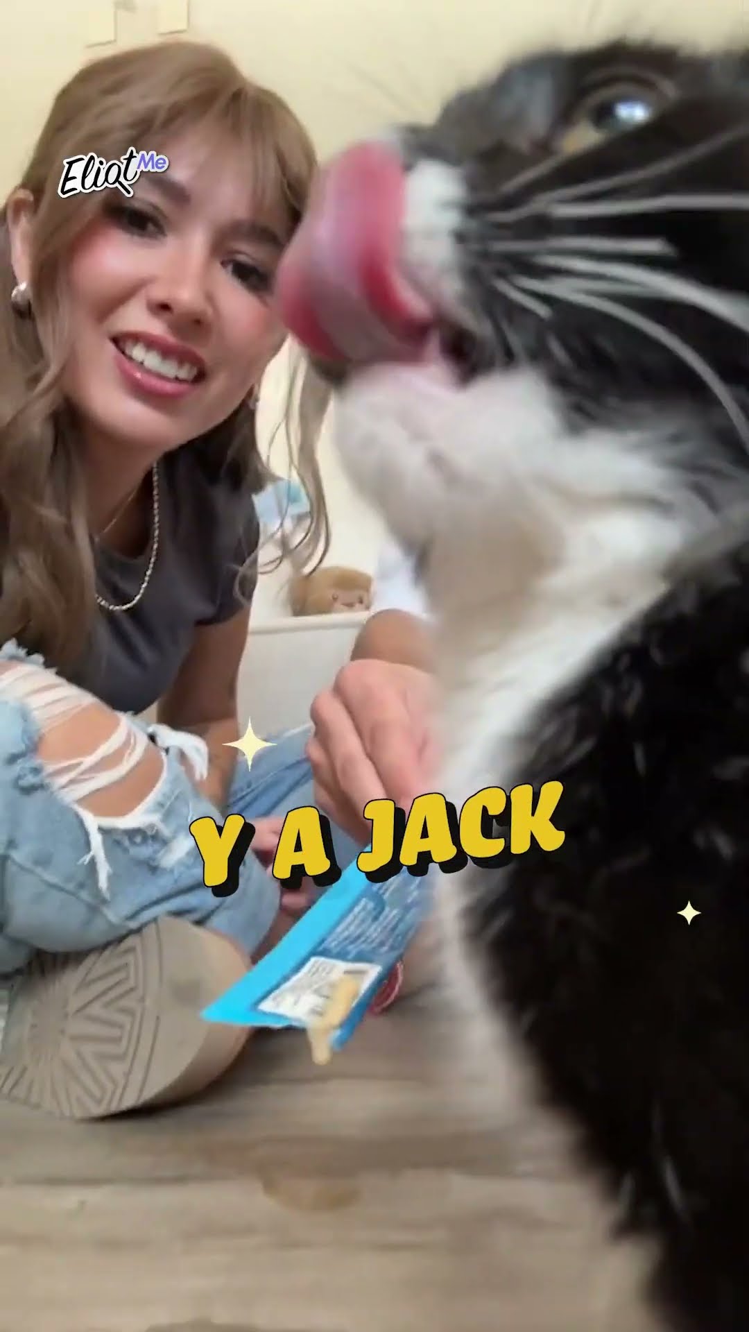 TIKTOKERS QUE AMAN A LOS GATITOS CON LOCURA: LOS CHICANEROS, BETH CAST, LILY GACÍA Y MÁS #shorts