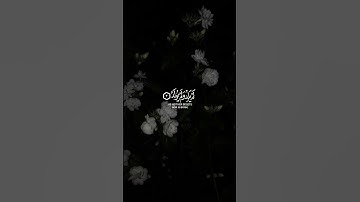 قُلْ هُوَ اللَّهُ أَحَدٌ| القارئ محمد اللحيدان