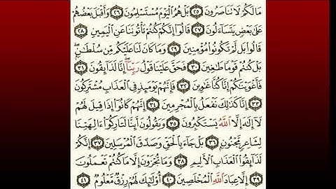 TAFSIIRKA:◇:سورة الصافات من٢١-٤١:◇:SH:-MAXAMAD CABDI UMAL حفظه الله