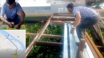 Chia Sẻ Điểm Câu Cá Tự Nhiên Tập 1|Cần Thơ Sông Mê Kong