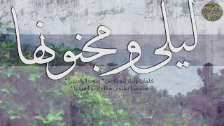 خطوة جنوبية ليلى ومجنونها ( درس الغرام ) كلمات واداء : ابو فارس ( صوت الواديين )