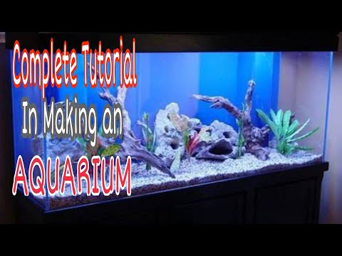 Video: Paano Gumawa Ng Iyong Sarili Na Isang Grotto Sa Isang Aquarium