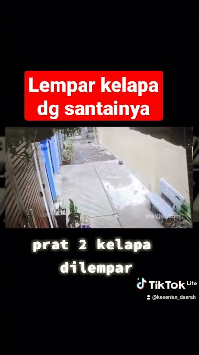 lempar kelapa dengan santainya part 2