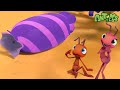 Sugar Rush  | Animals for Kids | Animal Cartoons | Funny Cartoons | Learn about Animals