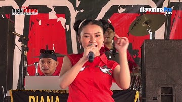 ENTAH APA   GYNNA DAMARA BP   JAGAPURA LOR 4 DESEMBER 2019