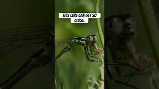 you need to see what this lens can do!