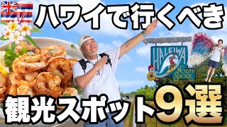 ハワイ観光スポット9選オアフ島の人気観光地ノースショア、シニア夫婦ハワイ旅行VLOG2023年11月④