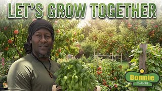 America, Let's Grow Together