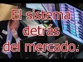 Especulador Profesional Expone La Estructura Detrás Del Mercado De Divisas