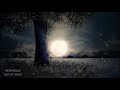[No Ads] Deep Sleeping Music | Meditation Music | Calm Healing Music