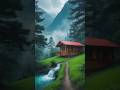 Peacefully and beautiful nature #travel