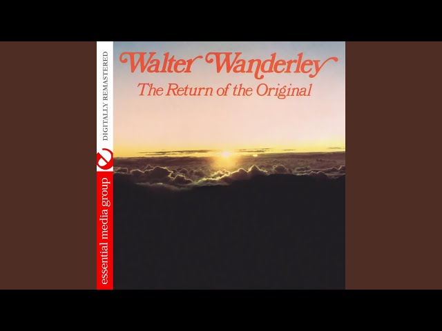 Walter Wanderley - Raindrops Keep Fallin' On My Head