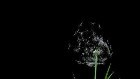 Creativebloke.com - Modo 401 Replicator Test