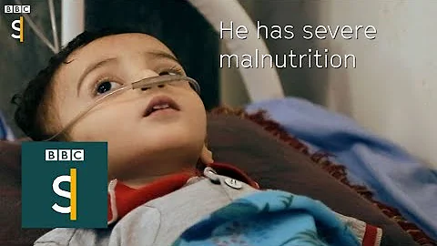 Yemen: "Largest humanitarian crisis in the world" BBC Stories