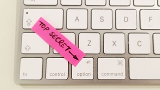 Prezi Secret - Alt Button