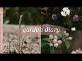 The homestead garden is coming to life spring garden vlog