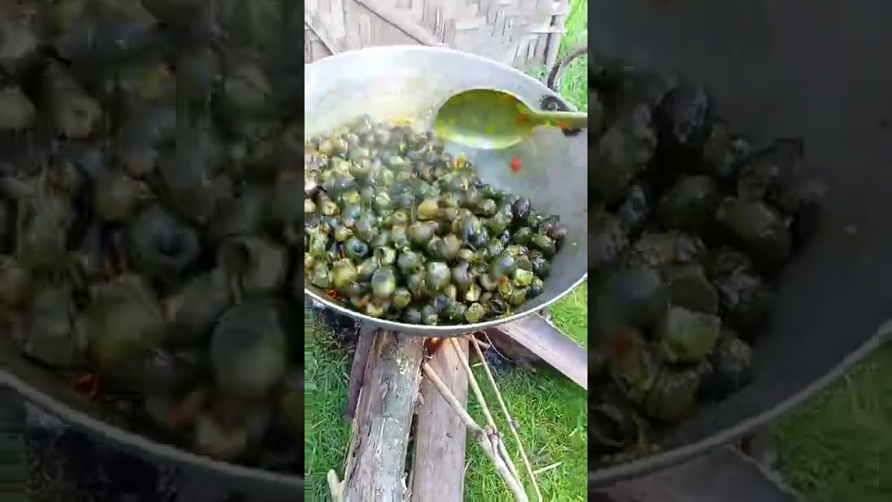 Cooking Snail with delicious recipe 😋 Shorts //KDM Creations//