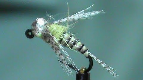 Fly Tying a Synthetic Quill Jig Fly with Jim Misiura