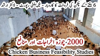 2000 Golden Misri Chicks Feasibility Report | Chicken Farming Business |42 Days Chicks Sale Business