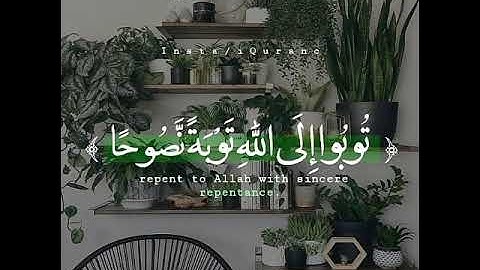 يا أيها الذين آمنوا توبوا إلى الله | إسلام صبحي | حالات واتساب و انستجرام دينية ( سورة التحريم)