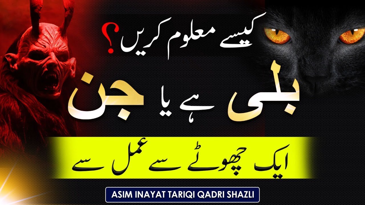 Jinn Ki Haqeeqat Our Billi Ka Aana - Identify Real Ghost Or Cat- Mystery - Asim Inayat Official