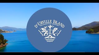 D&#39;Urville Island - A Journey