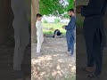 Don't Fight Use Brain 😂 Funny Video #shorts #funny #comedy