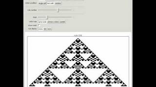 Cellular Automaton Explorer