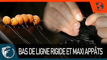 Quel diamètre bas de ligne carpe ?