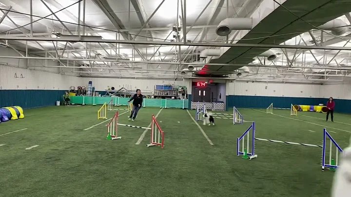 Gem City Dog Training Club Excellent Jumpers 12/18...