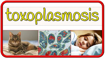 ¿Se puede combatir la toxoplasmosis?