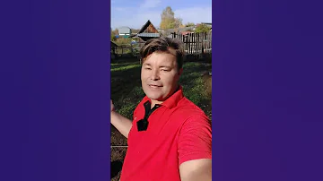 #удобрения #сажаемлукичеснок #натуральноеудобрение #удобрениедлячеснока #лук #чеснок