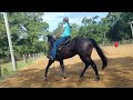 Teaching rate &amp; calm big and small circles 