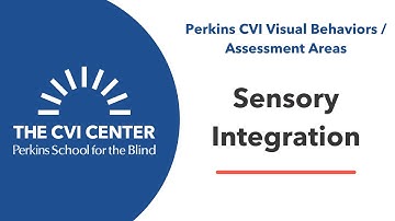 CVI Visual Behaviors: Sensory Integration and Impact on Vision