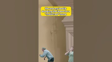 Finding Hidden Mold in a Home