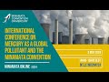 Minamata online international conference on mercury as a global pollutant  the minamata convention